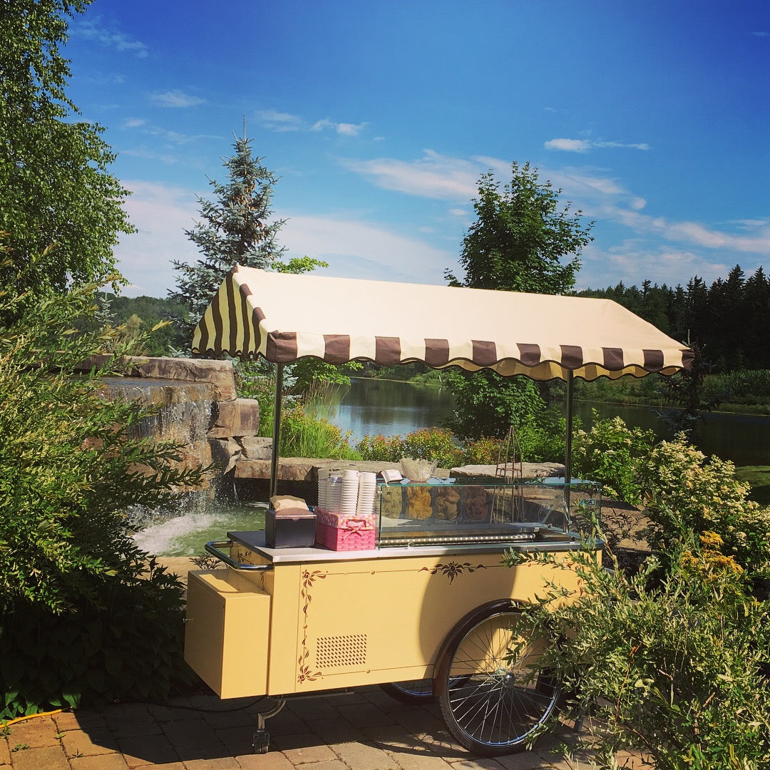 50 - 90 Guests: Gelato catering service